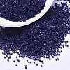 MIYUKI Delica Beads SEED-MY11-DB2144-1
