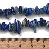 Natural Lapis Lazuli Chip Beads Strands G-E271-121-2