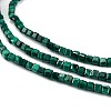 Natural Malachite Beads Strands G-C009-B24-01-3