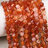 Natural Banded Agate Beads Strands G-P611-C09-01-1