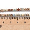 Dyed Natural Regalite/Imperial Jasper/Sea Sediment Jasper Beads Strands G-B124-C05-04-2