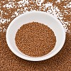 MIYUKI Delica Beads X-SEED-J020-DB2287-2