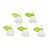 Acrylic with ABS Plastic Imitation Pearl Pendants PALLOY-JF05659-12-1