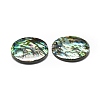 Natural Abalone Shell/Paua Shell Cabochons SHEL-K008-08-3