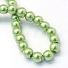 Baking Painted Pearlized Glass Pearl Round Bead Strands HY-Q003-6mm-26-4