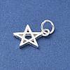 S925 Sterling Silver Pendant STER-H115-03B-S-2