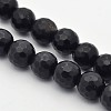 Faceted Round Natural Black Stone Beads Strands G-E302-066-8mm-1