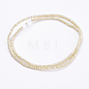 Electroplate Glass Beads Strands X-GLAA-F078-FR08-2