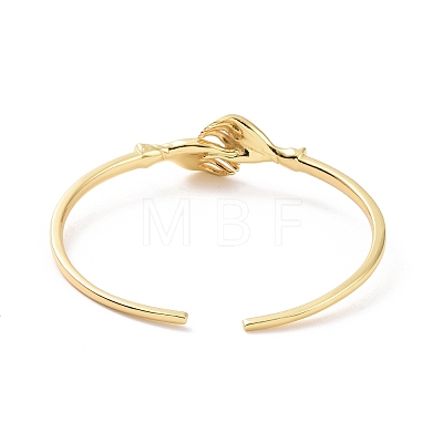 Brass Double Hand Hug Cuff Bangle for Women BJEW-G661-01G-1
