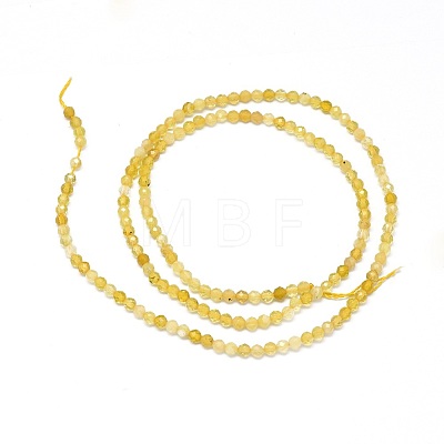 Natural Yellow Opal Beads Strands G-O180-05B-1