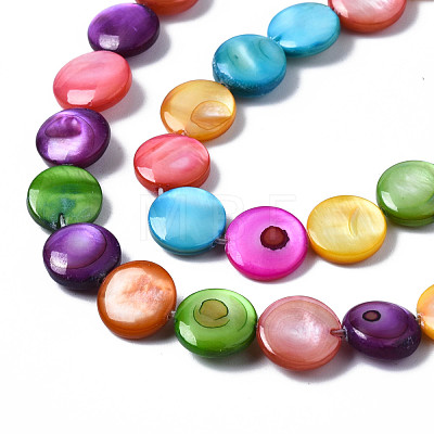 Natural Freshwater Shell Beads Strands SHEL-S278-019A-1