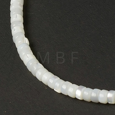 Natural Trochid Shell/Trochus Shell Beads BSHE-B005-12-1