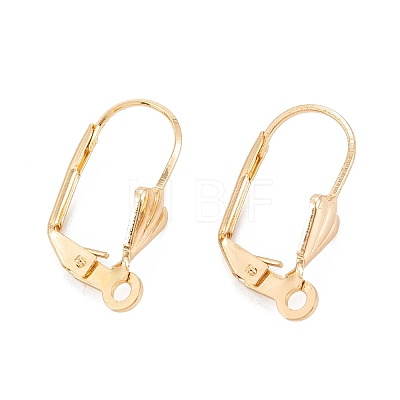 304 Stainless Steel Leverback Earring Findings LS-STAS-K218-08G-1