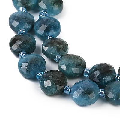 Natural Apatite Beads Strands G-B094-A27-01-1