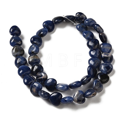 Natural Sodalite Beads Strands G-B022-18B-1