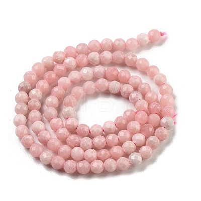 Natural Rhodonite Beads Strands G-G140-A20-03-1