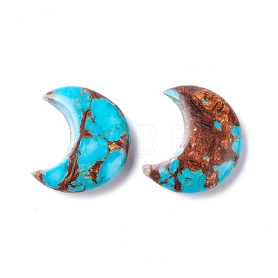 Assembled Natural Bronzite & Synthetic Turquoise Cabochons G-K317-B05-1