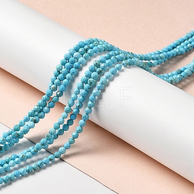 Natural Howlite Beads Strands G-C025-03B-02-1