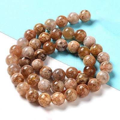 Natural Flower Agate Beads Strands G-B044-A01-02-1