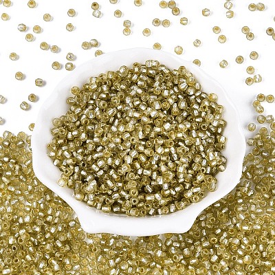 Silver Lined Glass Seed Beads SEED-T007-18A-05-1