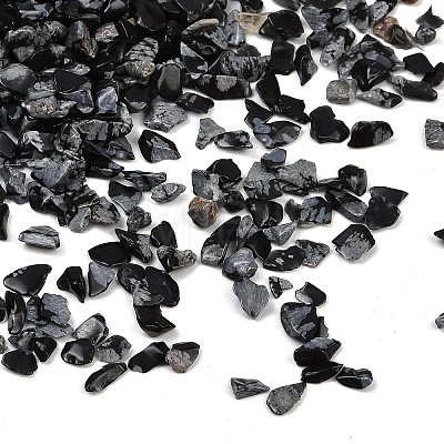 Natural Snowflake Obsidian Beads X-G-U032-A08-1