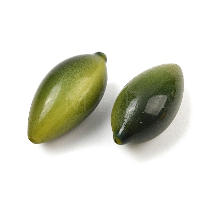 Fruit Series Opaque Resin Beads RE-CBAC4C7-11F-1
