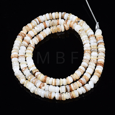 Natural Freshwater Shell Beads Strands SHEL-T018-28-1