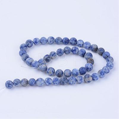 Natural Blue Spot Jasper Beads Strands G-Q462-6mm-06-1
