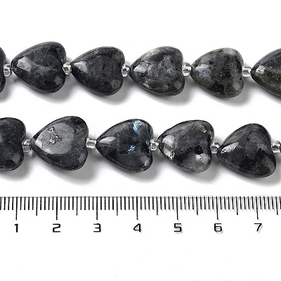 Natural Larvikite Beads Strands G-E614-A24-01-1