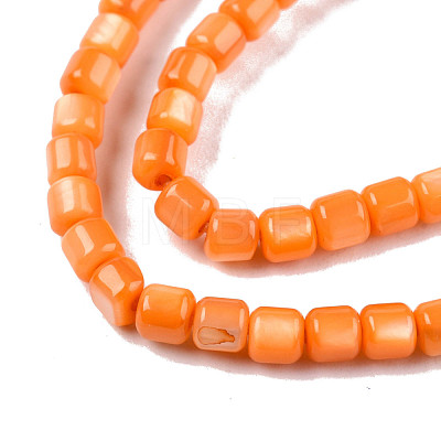 Natural Freshwater Shell Beads Strands SHEL-N003-33-A07-1