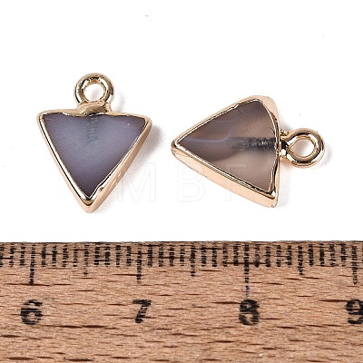 Natural Agate(Dyed & Heated) Pendants G-Q606-103G-06-1