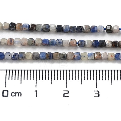 Natural Sodalite Beads Strands G-J400-A06-01-1