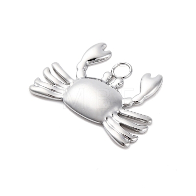 Non-Tarnish 304 Stainless Steel Pendants LS-STAS-E182-08P-1