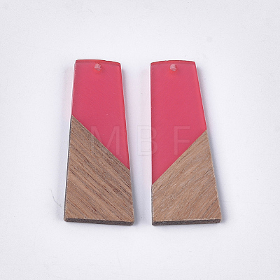 Resin & Walnut Wood Pendants X-RESI-S358-83-1