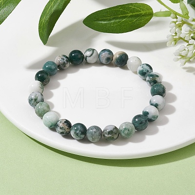 Natural Tree Agate Round Bead Stretch Bracelets for Women BJEW-JB09871-1
