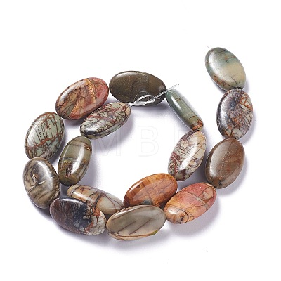 Natural Picasso Jasper Bead Strands G-P444-02-1