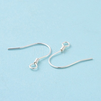 925 Sterling Silver Earring Hooks STER-D035-22S-1