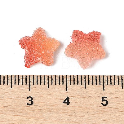 Imitation Candy Food Style Resin Cabochons RESI-R461-02A-1