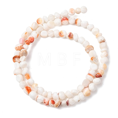 Natural Sea Shell Beads Strands SHEL-K006-77-1