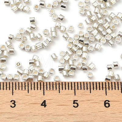 Electroplate Glass Seed Beads SEED-S042-01B-08-1