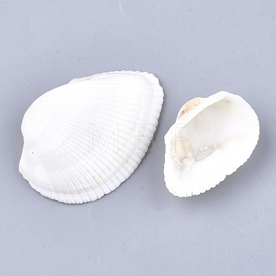Clam Shell Beads SSHEL-S258-43-1
