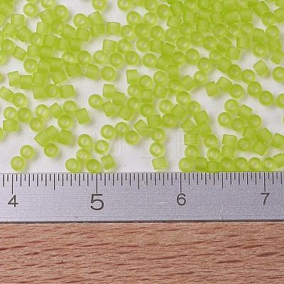 MIYUKI Delica Beads X-SEED-J020-DB0766-1