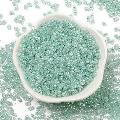 Ceylon Glass Seed Beads SEED-K009-02B-26-1