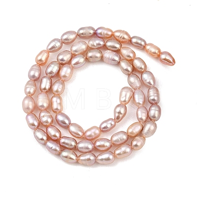 Natural Cultured Freshwater Pearl Beads Strands PEAR-F020-11-1