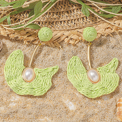 Alloy Raffia Fan Dangle Stud Earrings FS-WGB8543-06-1