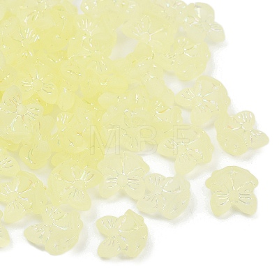 Frosted Transparent Acrylic Beads OACR-P029-18B-03-1