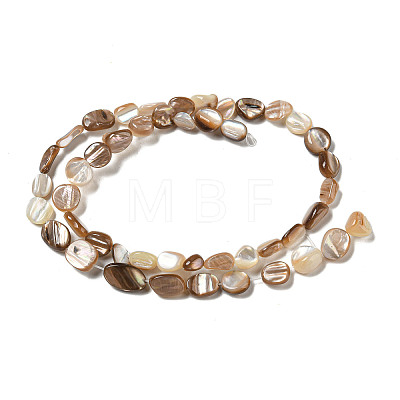Natural Seashell Beads Strands SSHEL-H072-14-1