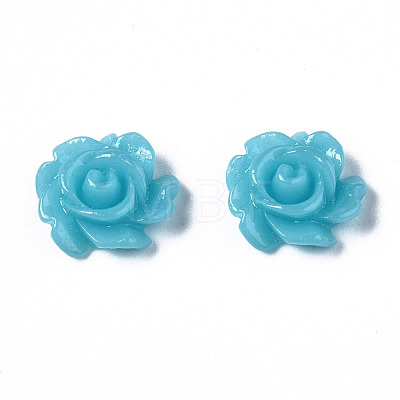 Resin Cabochons CRES-B3462-A129-1