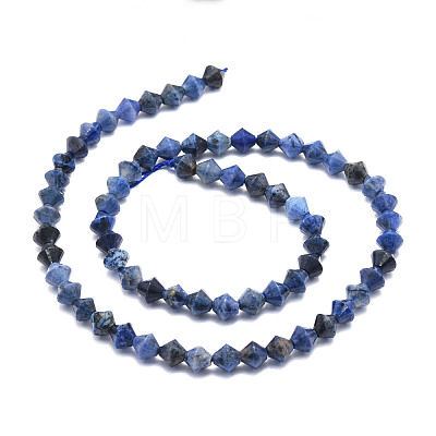 Natural Sodalite Beads Strands G-E569-D07-1