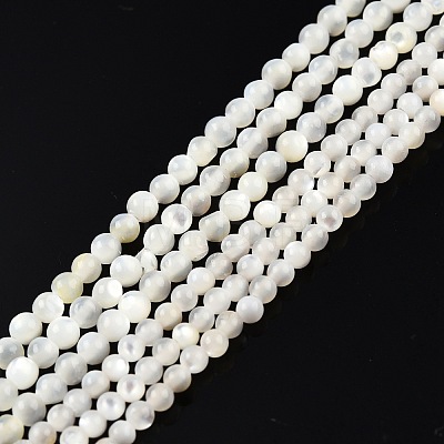 Natural White Shell Bead Strands X-SSHEL-N003-144A-01-1